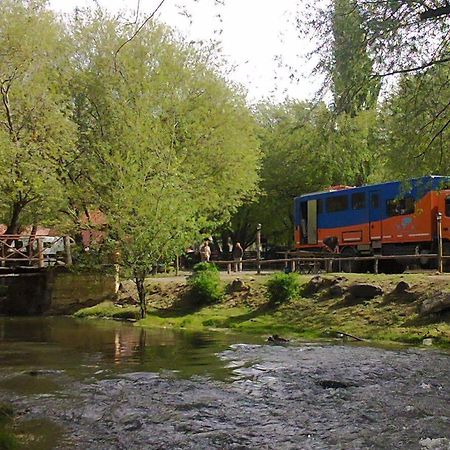 Camping Y Hostal El Ovejero Ел Калафате Екстериор снимка