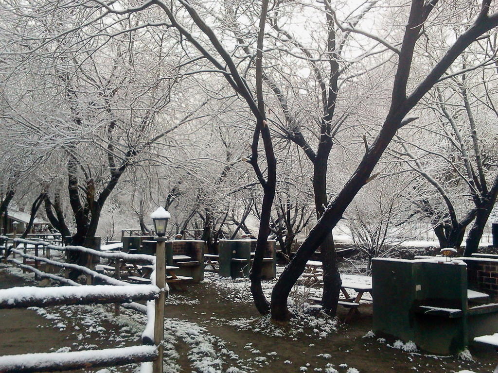 Camping Y Hostal El Ovejero Ел Калафате Екстериор снимка