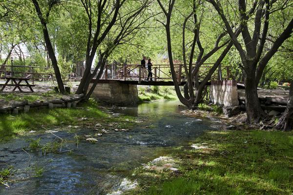 Camping Y Hostal El Ovejero Ел Калафате Екстериор снимка